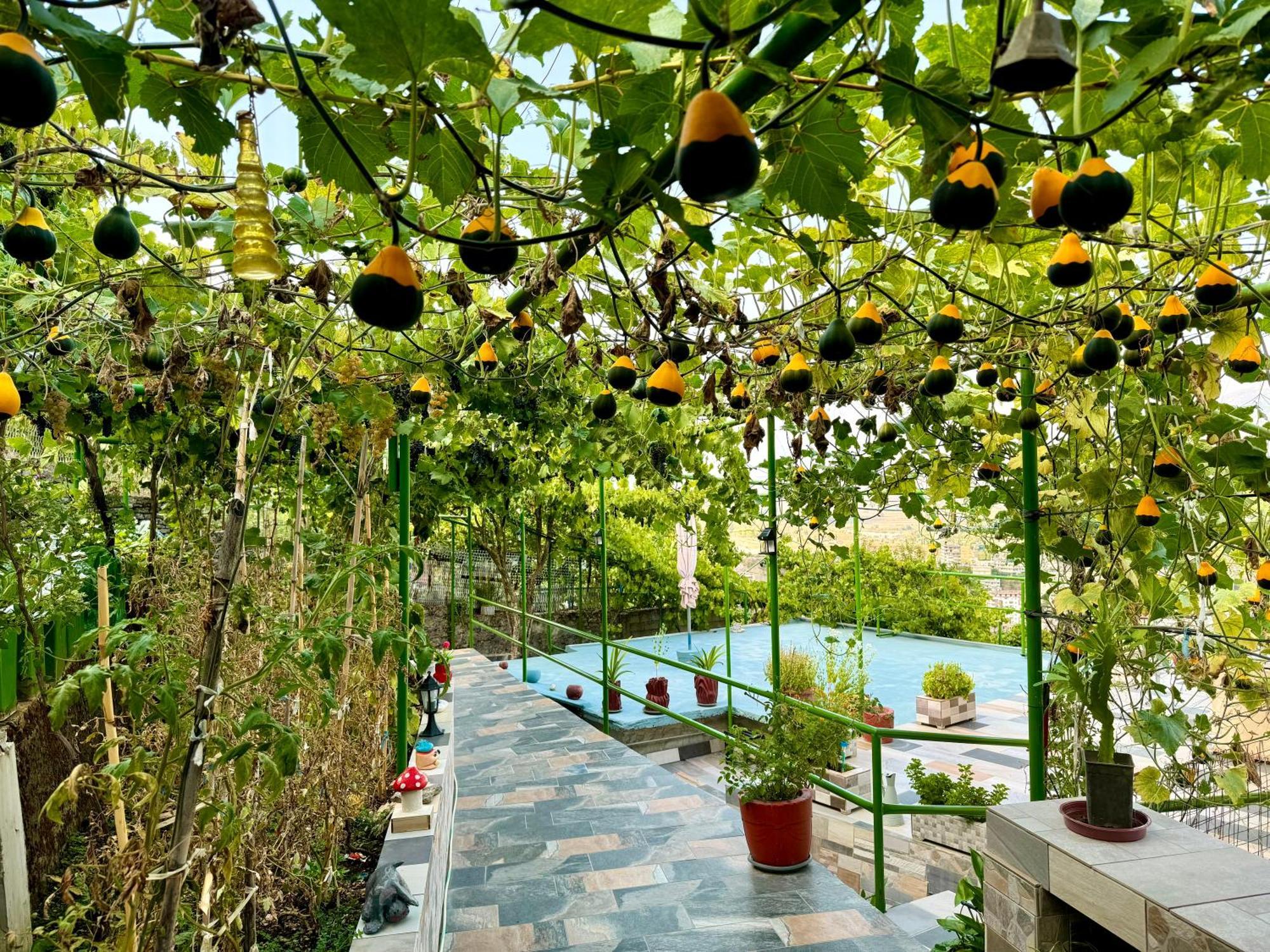 Panoramic View Guest House Gjirokaster Exterior photo